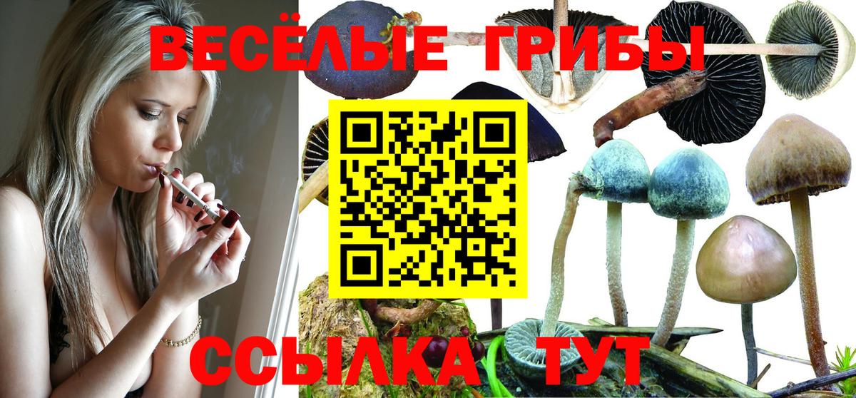 Галлюциногенные грибы Cubensis Магадан